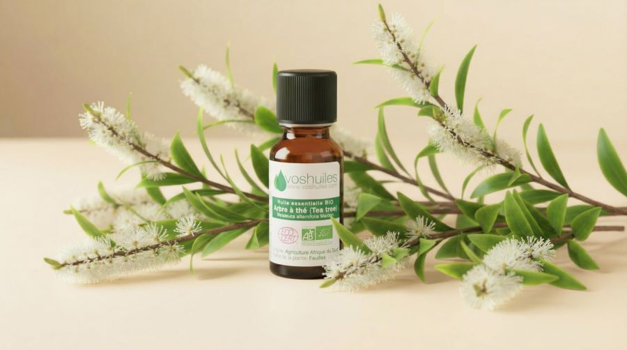 Flacon d’huile essentielle bio de tea tree Voshuiles entouré de branches et fleurs de tea tree.