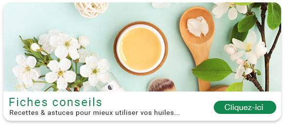 Fiches conseils