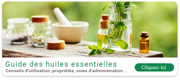 Guide des huiles essentielles