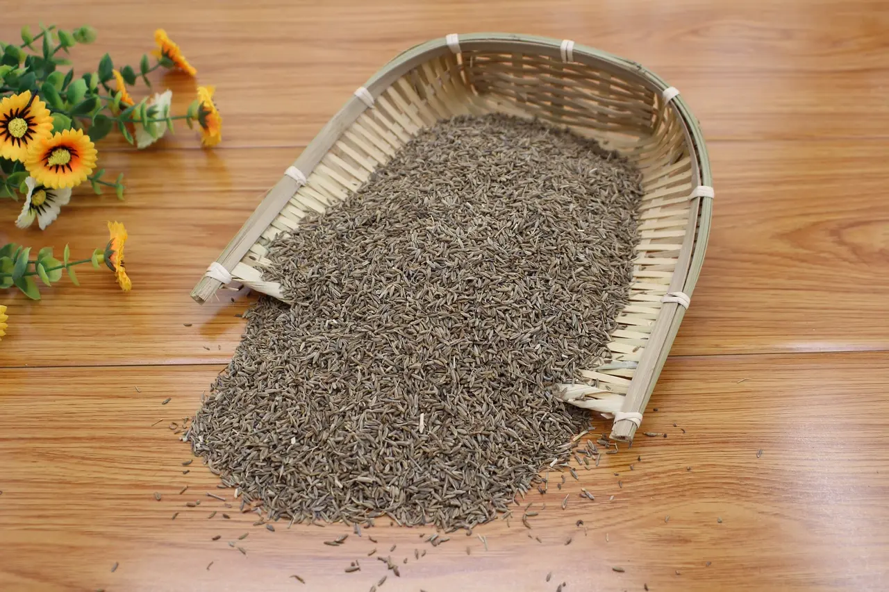 Cumin