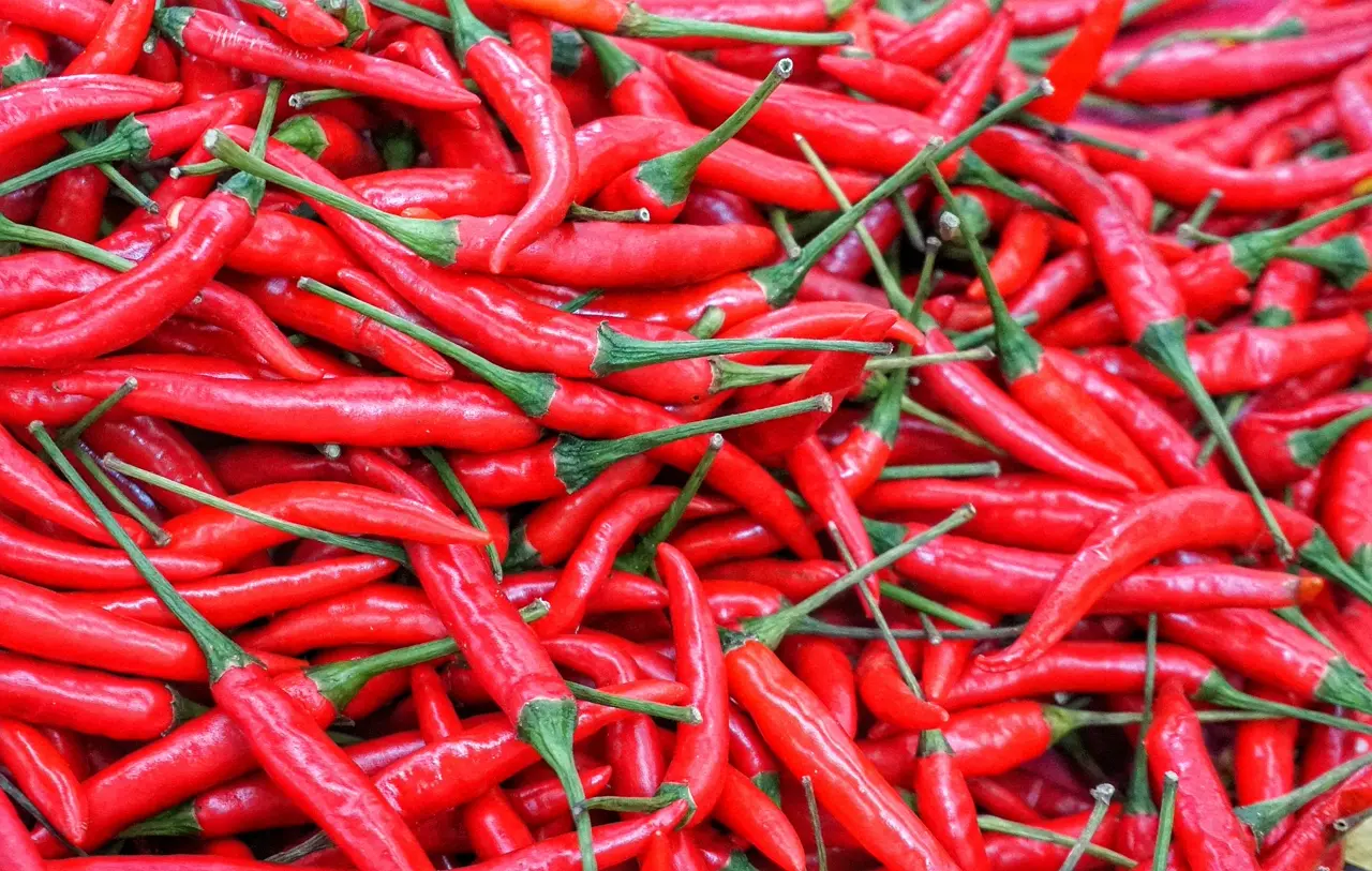 Piment