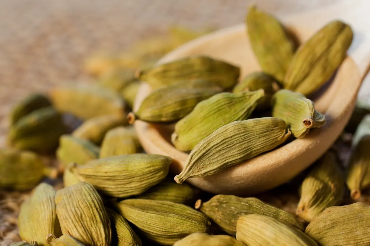 Cardamome